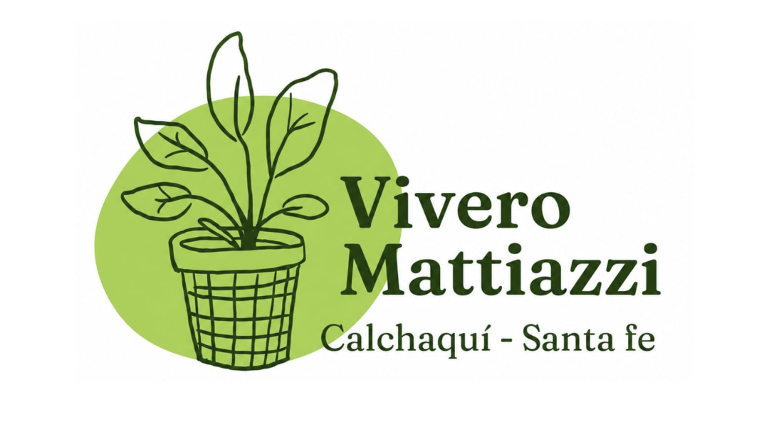 VIVERO MATTIAZZI