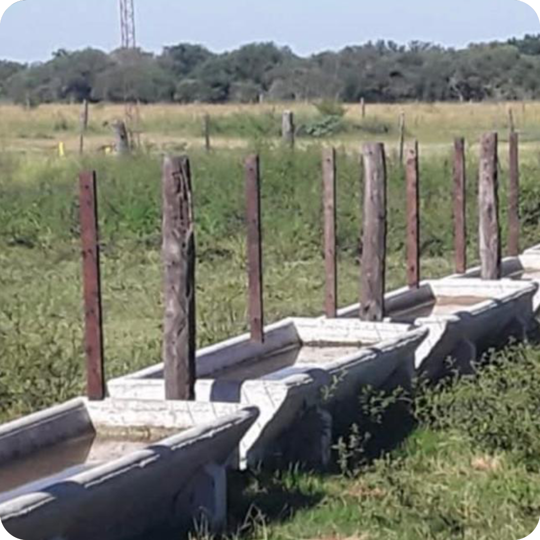 Bebederos de 3 metros con patas y cubre flotante